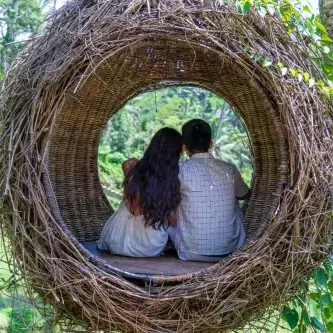 Couple in birdsnest